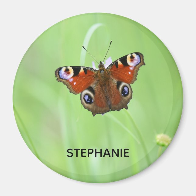 Aimant Papillon de Peacock (Devant)