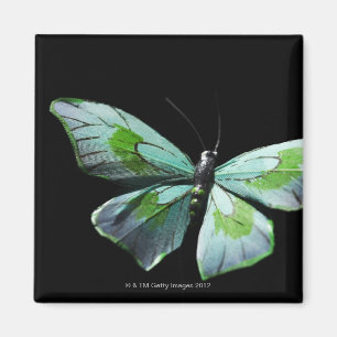 Aimant Papillon de vol