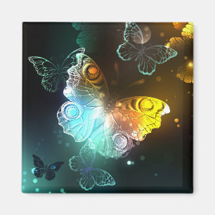 Aimant Papillon lumineux et papillons de nuit