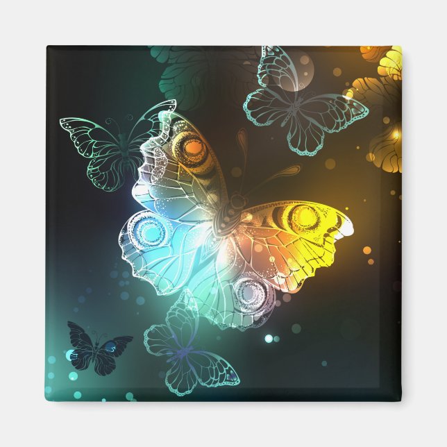 Aimant Papillon lumineux et papillons de nuit (Devant)