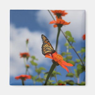 Aimant papillon monarque