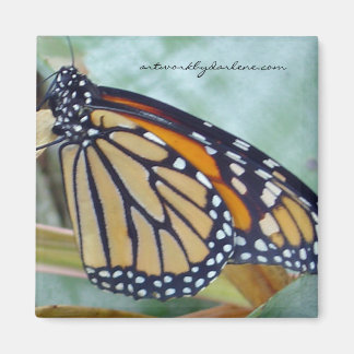 Aimant papillon monarque
