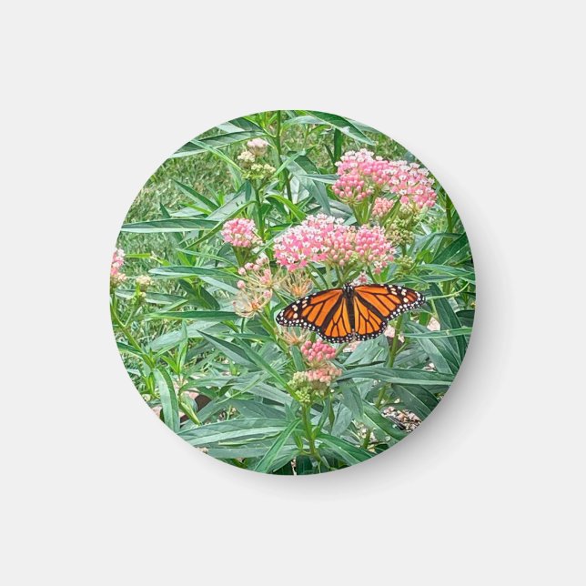 Aimant Papillon Monarque sur Milkweed  (Devant)