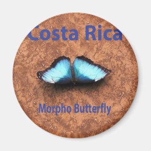 Aimant Papillon morpho Costa Rica