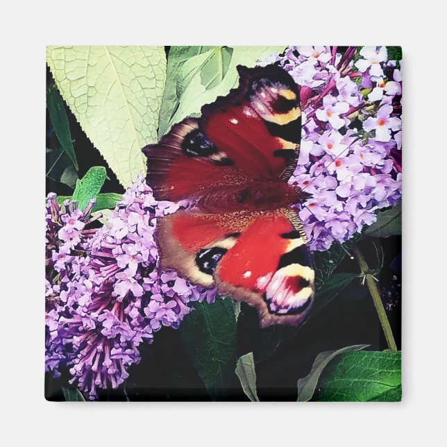 Aimant Papillon rouge (Devant)