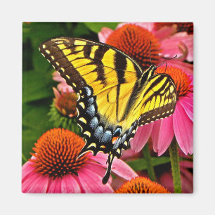 Aimant Papillon sur l'aimant de la fleur v22
