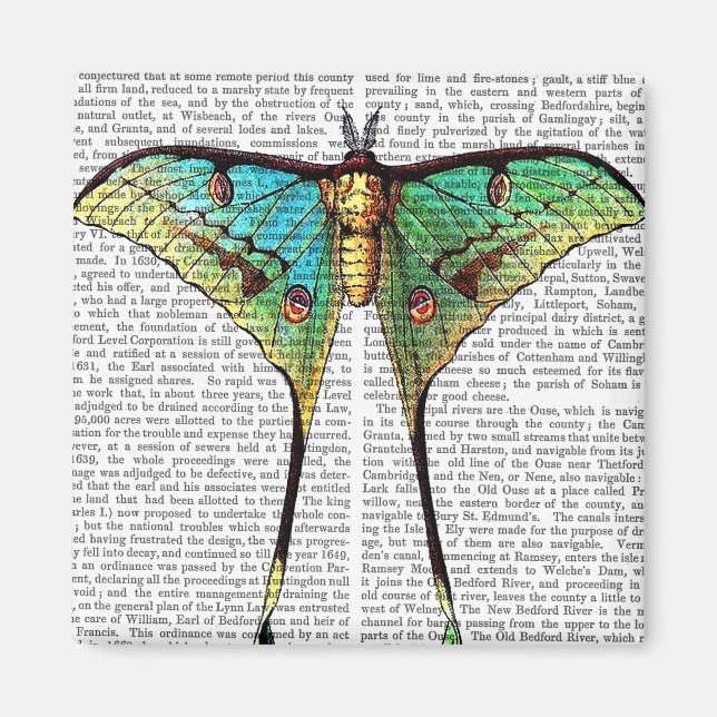 Aimant Papillon vibrant (Devant)
