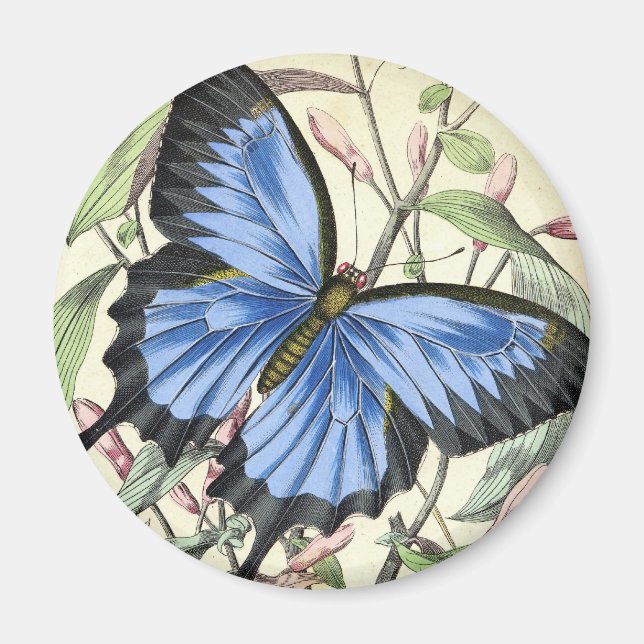 Aimant papillon vintage (Devant)