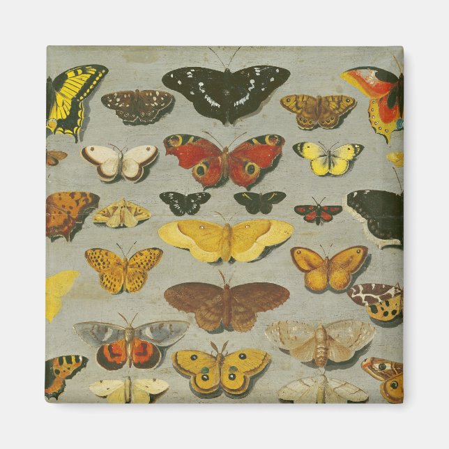 Aimant Papillons (Devant)