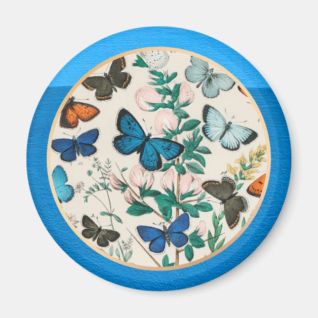 Aimant Papillons, cadre bleu (Devant)