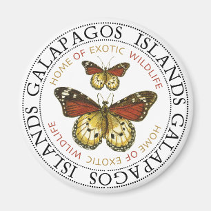 Aimant Papillons des îles Galapagos