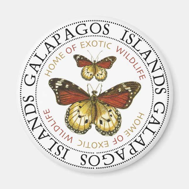 Aimant Papillons des îles Galapagos (Devant)