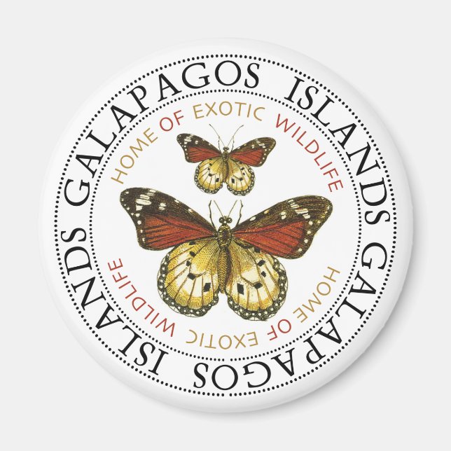 Aimant Papillons Galapagos (Devant)