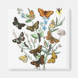 Aimant Papillons sur Fleurs illustration vintage