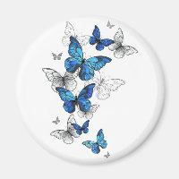 Papillons volants bleus Morpho