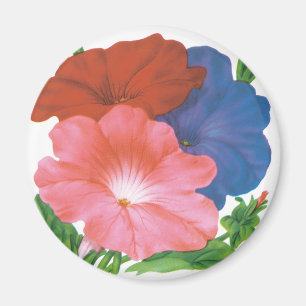 Aimant Paquet de semences vintage Art Étiquette, Fleurs P