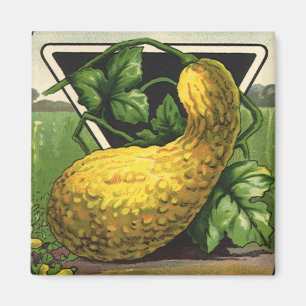 Aimant Paquet de semences vintage Étiquette Art Jaune Eté