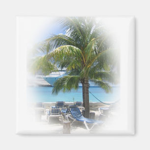 Aimant Paradis