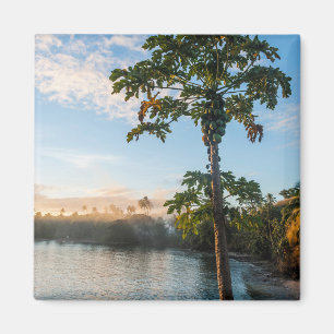 Aimant Paradis tropical au coucher du soleil, Fidji