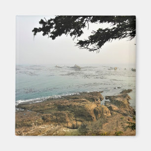 Aimant Parc d'état du Cap Arago, Côte de l'Oregon