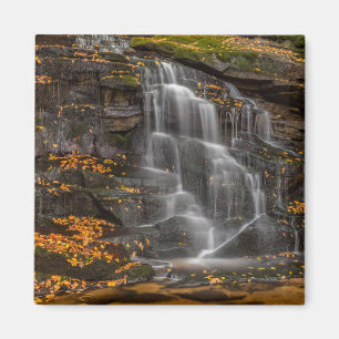 Aimant Parc national de Blackwater Falls