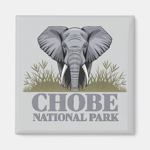 Aimant Parc national de Chobe Botswana