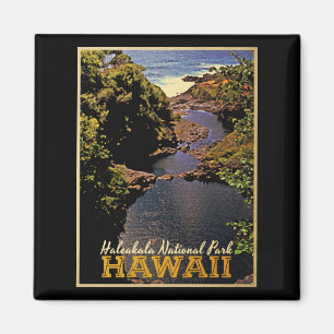 Aimant Parc national de Haleakala Hawaii