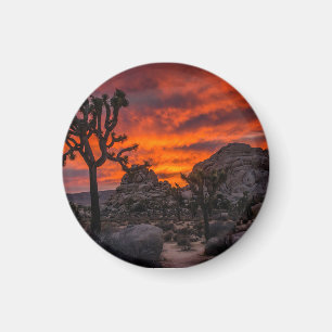 Aimant Parc national de Joshua Tree Coucher de soleil rou
