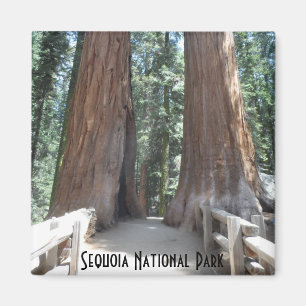 Aimant Parc national de Sequoia