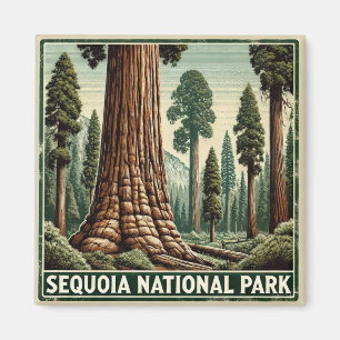 Aimant Parc national de Sequoia