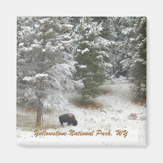Aimant Parc national de Yellowstone, WY