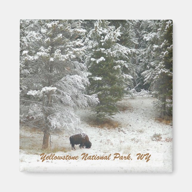 Aimant Parc national de Yellowstone, WY (Devant)