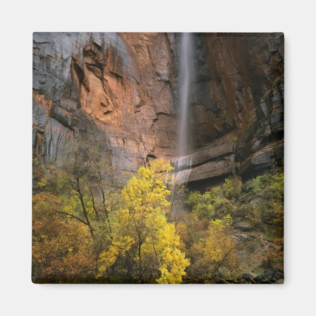 Aimant Parc national de Zion, Utah. États-Unis Éphémère (Devant)
