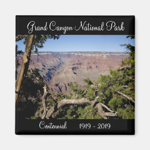 Aimant Parc national du Grand Canyon Centennial 2019 Magn