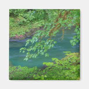 Aimant Parc national olympique Washington State