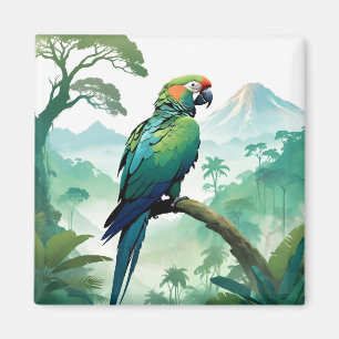 Aimant Parrot Faune Animal Nature Forêt Sauvage