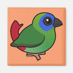 Aimant Parrotfinch Bleu-fait face