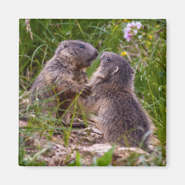 Aimant Partenaires Épargne (Devant)