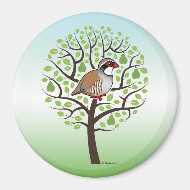 Aimant Partridge dans un arbre à poires (Devant)