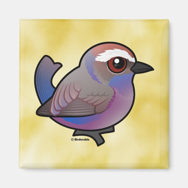 Aimant Paruline à bec blanche Birdorable (Devant)