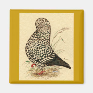 Aimant Paruline : LFCL Splash