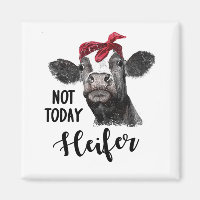 pas aujourd'hui heifer