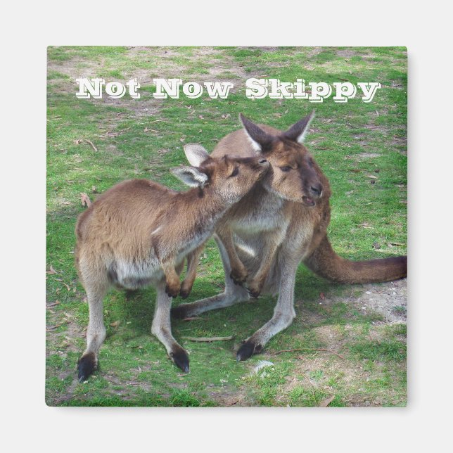 Aimant Pas maintenant Skippy (Devant)