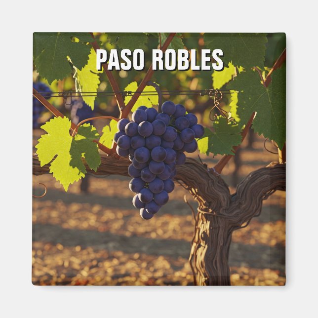 Aimant Paso Robles Côte centrale de Californie (Devant)