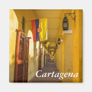 Aimant Passageway and Flags