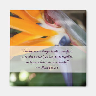 Aimant Passion au Paradis Mariage chrétien Favoriser