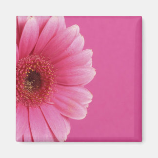Aimant Passion rose