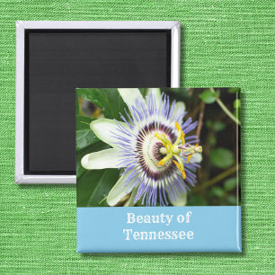 Aimant Passionflower Tennessee State Flower