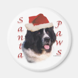 Aimant Pattes de Terre-Neuve (landseer) Père Noël