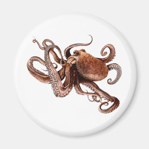 Aimant Paul L'Octopus